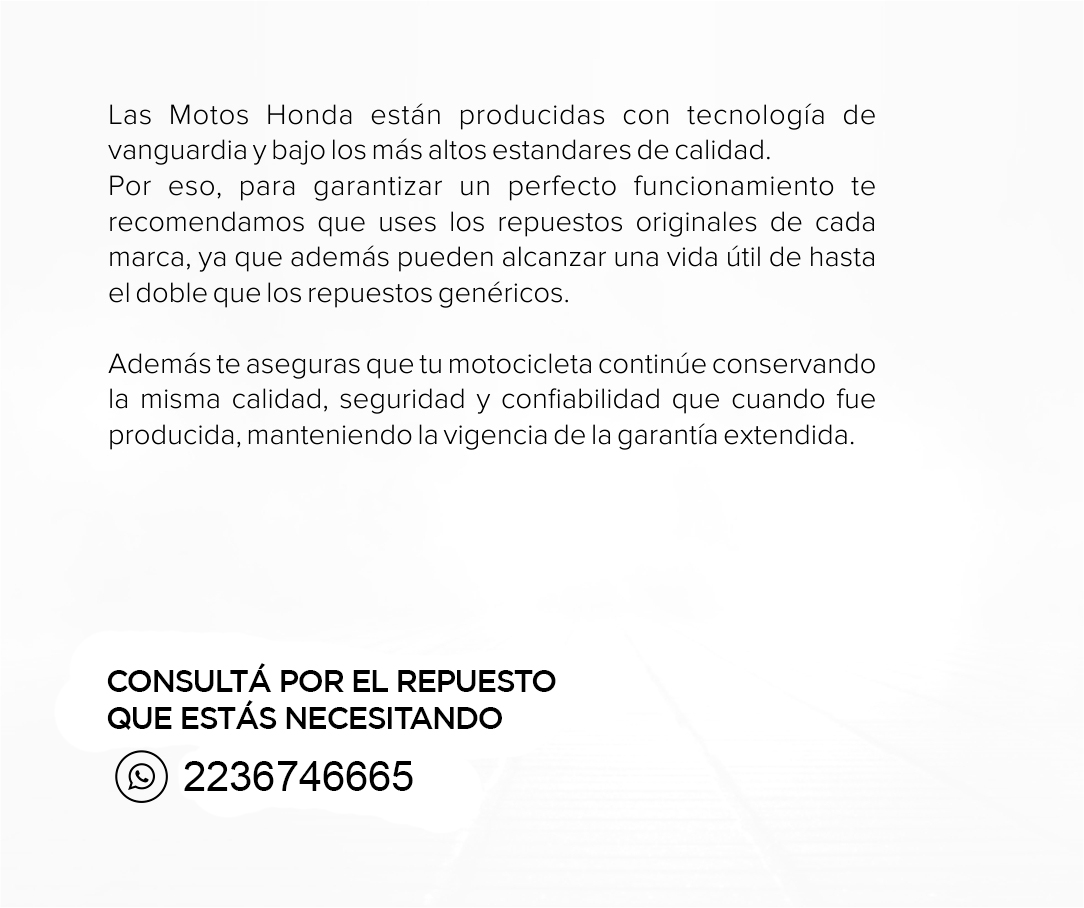 REPUESTOS MOTOS HONDA