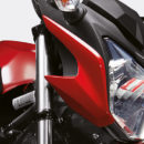 detalle01